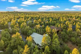 2361 S Sierra Park Trail, Show Low, AZ 85901 - Photo 49