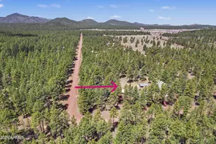 3909 E Pine Cone Dr, Williams, AZ 86046 - Photo 3