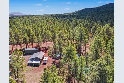 3909 E Pine Cone Drive, Williams, AZ 86046 - Photo 33