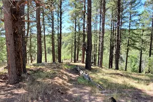 2678 Mesa Trail, Flagstaff, AZ 86005 - Photo 5