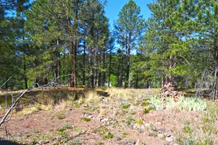 2678 Mesa Trail, Flagstaff, AZ 86005 - Photo 9