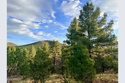 1867 E Brook Hill Road, Williams, AZ 86046 - Photo 31