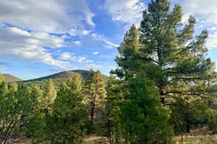 1867 E Brook Hill Rd, Williams, AZ 86046 - Photo 31