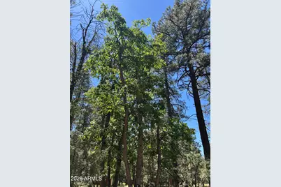 374 N Majestic Elk Lane #37, Payson, AZ 85541 - Photo 25