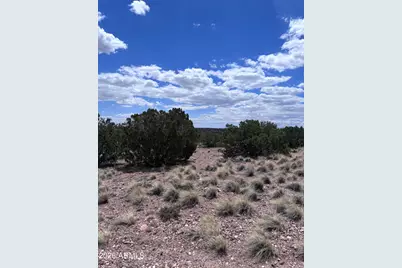 71 Gila Drive #1, Concho, AZ 85924 - Photo 3