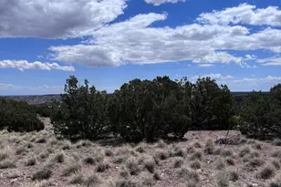 71 Gila Dr, Concho, AZ 85924 - Photo 1