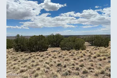 71 Gila Drive #1, Concho, AZ 85924 - Photo 9