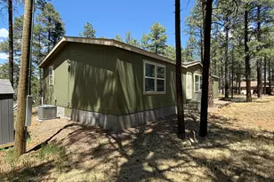 2964 Teddy Bear Trail, Overgaard, AZ 85933 - Photo 25