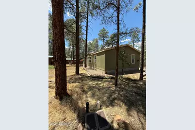 2964 Teddy Bear Trail, Overgaard, AZ 85933 - Photo 23
