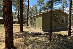 2964 Teddy Bear Trail, Overgaard, AZ 85933 - Photo 23