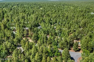 4872 Drifting Snow Loop, Pinetop, AZ 85935 - Photo 31