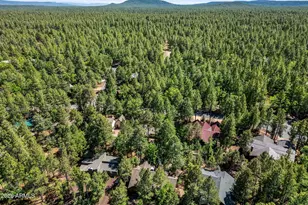 4872 Drifting Snow Loop, Pinetop, AZ 85935 - Photo 33