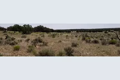 234 County Rd N6371 -- #-, Saint Johns, AZ 85936 - Photo 9