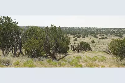 234 County Rd N6371 -- #-, Saint Johns, AZ 85936 - Photo 11
