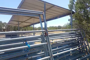 1417 Buffington Hill Rd, Heber, AZ 85928 - Photo 15