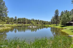 3487 Bear Howard, Flagstaff, AZ 86005 - Photo 67