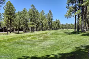 3487 Bear Howard, Flagstaff, AZ 86005 - Photo 63