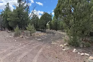 1270 Green Ridge Dr, Happy Jack, AZ 86024 - Photo 7