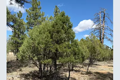1226 Green Ridge Drive #80, Happy Jack, AZ 86024 - Photo 5