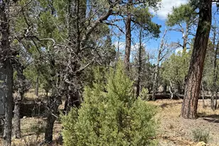 1226 Green Ridge Dr, Happy Jack, AZ 86024 - Photo 1