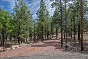 4971 W Trail Circle, Happy Jack, AZ 86024 - Photo 39