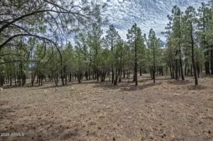 4971 W Trail Circle, Happy Jack, AZ 86024 - Photo 43