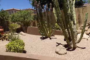 2004 W Calle De Las Estrellas Dr, Phoenix, AZ 85085 - Photo 35