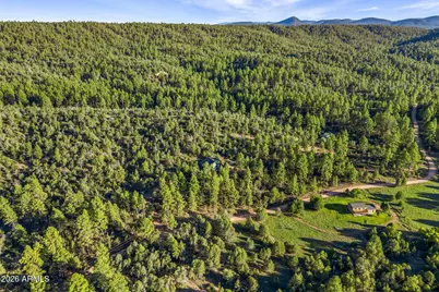 7816 W Forest Service Road #200, Young, AZ 85554 - Photo 45