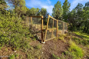 7816 W Forest Service Rd, Young, AZ 85554 - Photo 37