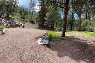7816 W Forest Service Rd, Young, AZ 85554 - Photo 45