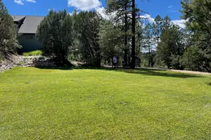 7816 W Forest Service Rd, Young, AZ 85554 - Photo 39