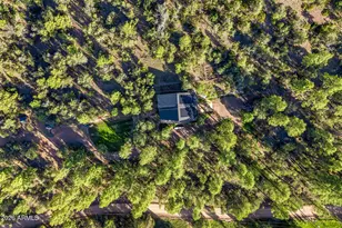 7816 W Forest Service Rd, Young, AZ 85554 - Photo 43
