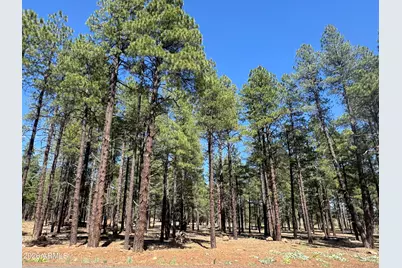 9615 Ranch At The Peaks Way #59, Flagstaff, AZ 86001 - Photo 1