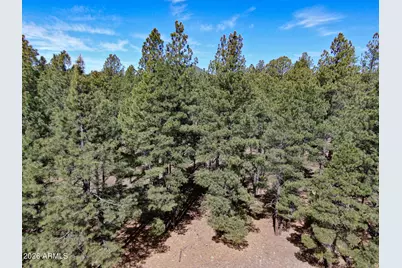 9615 Ranch At The Peaks Way #59, Flagstaff, AZ 86001 - Photo 7