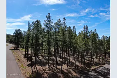 9615 Ranch At The Peaks Way #59, Flagstaff, AZ 86001 - Photo 3