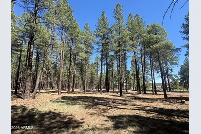 7690 W Taylor Springs Lane #63, Flagstaff, AZ 86001 - Photo 5