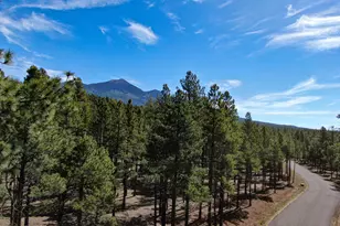 7690 W Taylor Springs Ln, Flagstaff, AZ 86001 - Photo 1