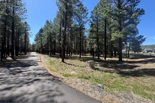 8380 Vista Peak Wy, Flagstaff, AZ 86001 - Photo 1