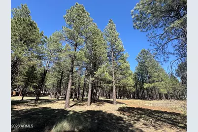 8252 Vista Peak Way #70, Flagstaff, AZ 86001 - Photo 5