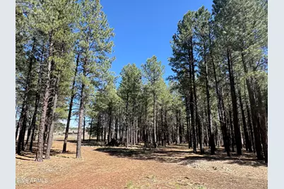 8252 Vista Peak Way #70, Flagstaff, AZ 86001 - Photo 7