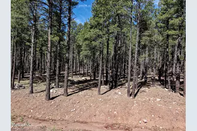 9576 Ranch At The Peaks Way #66, Flagstaff, AZ 86001 - Photo 5