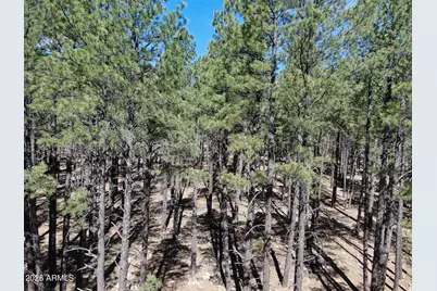 9576 Ranch At The Peaks Way #66, Flagstaff, AZ 86001 - Photo 7