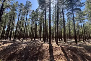9576 Ranch at The Peaks Wy, Flagstaff, AZ 86001 - Photo 1