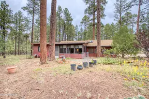 1256 W Hummingbird Cir, Lakeside, AZ 85929 - Photo 23