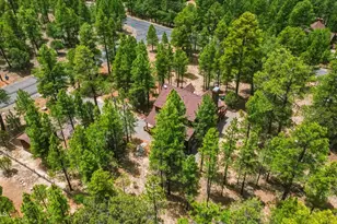 4075 Horseshoe Dr, Happy Jack, AZ 86024 - Photo 45