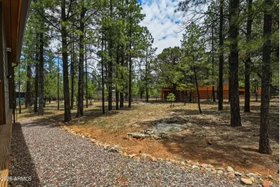 4075 Horseshoe Drive, Happy Jack, AZ 86024 - Photo 39