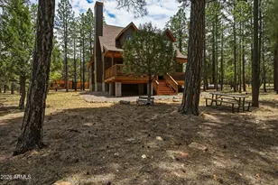 4075 Horseshoe Dr, Happy Jack, AZ 86024 - Photo 41