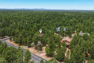 4075 Horseshoe Dr, Happy Jack, AZ 86024 - Photo 49