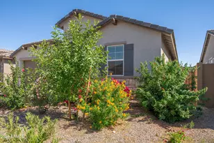 3317 E Hayfield Wy, San Tan Valley, AZ 85140 - Photo 3