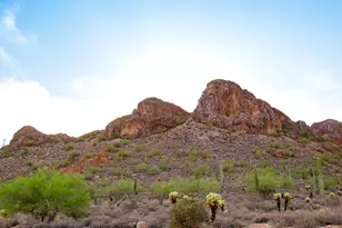 9765 E Dead Sure Pl, Gold Canyon, AZ 85118 - Photo 171